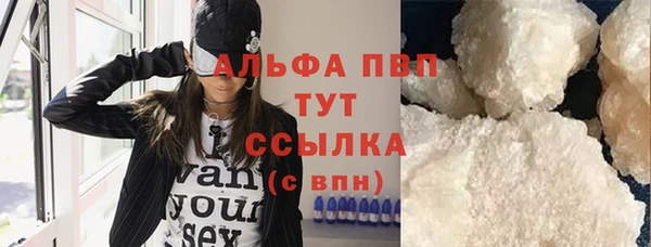 гидра Новодвинск