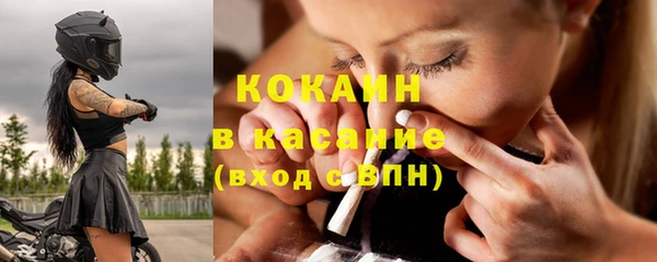 шишки Новокубанск