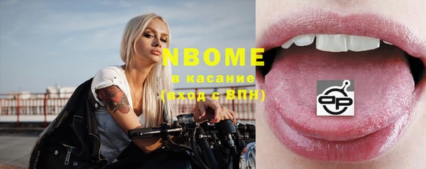 шишки Новокубанск