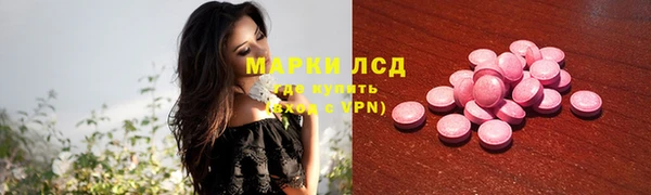 гидра Новодвинск