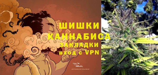 молекула духа Новозыбков