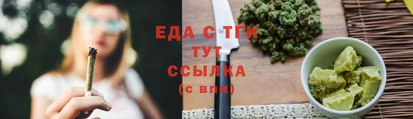 молекула духа Новозыбков