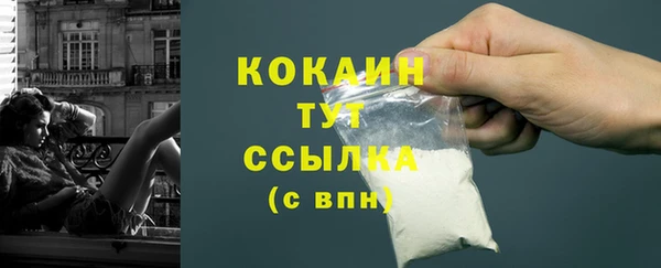 шишки Новокубанск