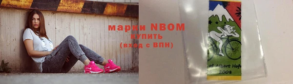 гидра Новодвинск