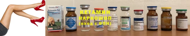 шишки Новокубанск