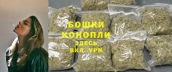 гидра Новодвинск