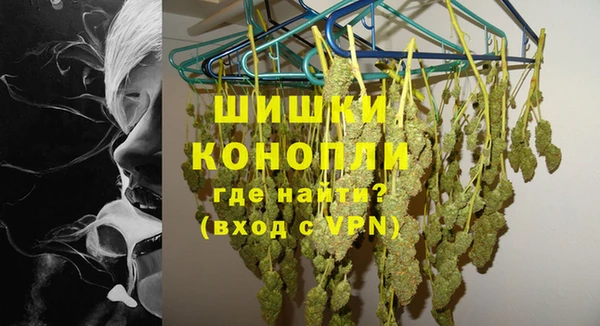 молекула духа Новозыбков