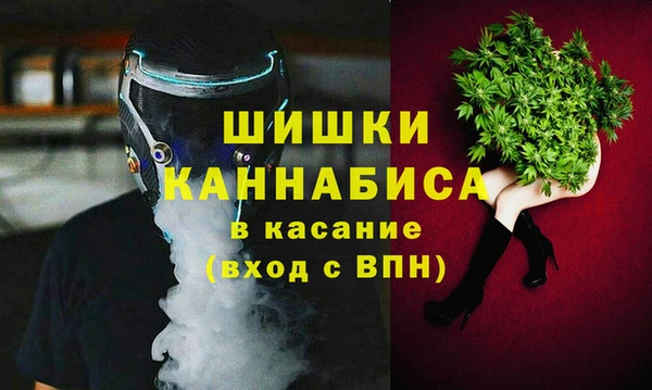 молекула духа Новозыбков