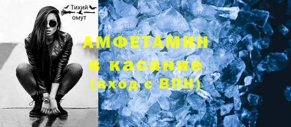 молекула духа Новозыбков