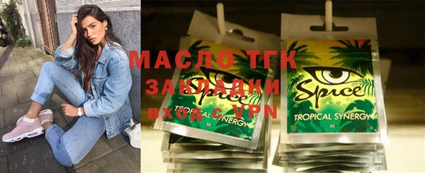молекула духа Новозыбков