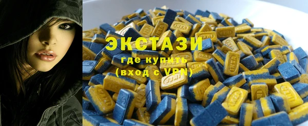 молекула духа Новозыбков
