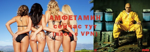 гидра Новодвинск