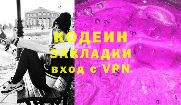 молекула духа Новозыбков
