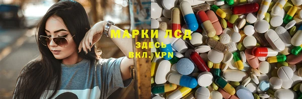 шишки Новокубанск