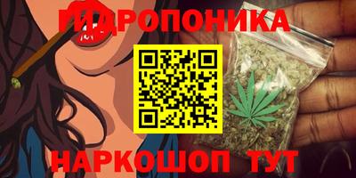 СК Заводоуковск
