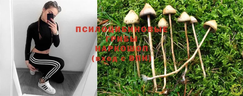 hydra зеркало  Кубинка  Псилоцибиновые грибы MAGIC MUSHROOMS  закладки 