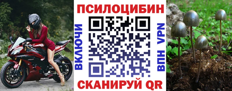 Галлюциногенные грибы мицелий  дарнет шоп  Кубинка 