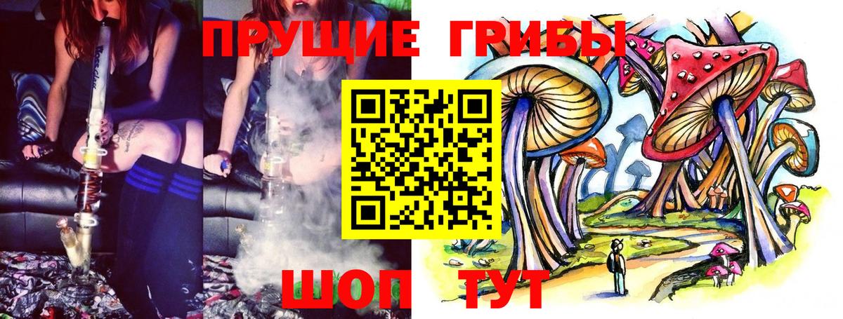 Псилоцибиновые грибы MAGIC MUSHROOMS  Псилоцибиновые грибы Cubensis  Вход с VPN  Кубинка 