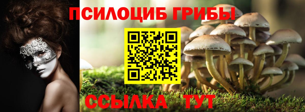 Галлюциногенные грибы MAGIC MUSHROOMS Кубинка